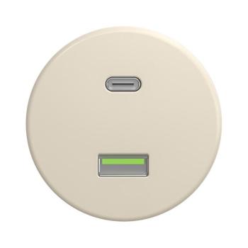 lap - Retro USB aljzat A+C keret nélküli bézs B/USB kép