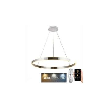 LED állítható fényerejű csillár kábellel LED/100W/230V 3000-6500K + DO J4327/CH kép