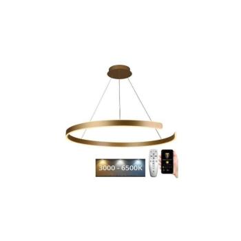 LED állítható fényerejű csillár kábellel LED/100W/230V 3000-6500K + DO J4327/G kép