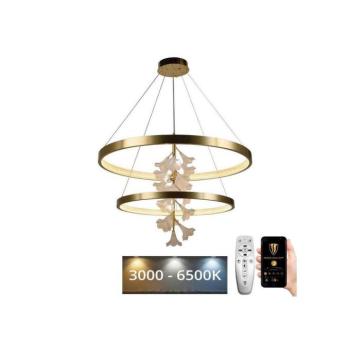 LED állítható fényerejű csillár kábellel LED/100W/230V 3000-6500K + DO J5302/C kép