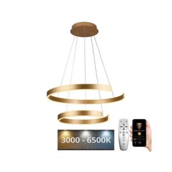 LED állítható fényerejű csillár kábellel LED/120W/230V 3000-6500K + DO J4328/G kép
