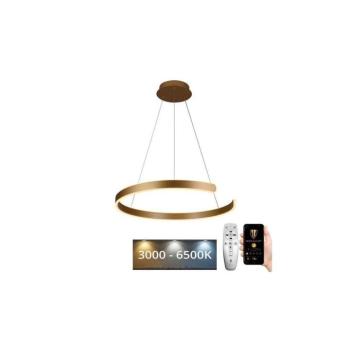LED állítható fényerejű csillár kábellel LED/70W/230V 3000-6500K + DO J4326/G kép