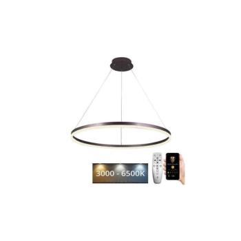 LED állítható fényerejű lámpa kábelre LED/55W/230V 3000-6500K + DO J4309/BR kép