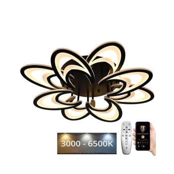 LED Dimmelhető mennyezeti csillár LED/125W/230V 3000-6500K + távirányító J3331/B kép