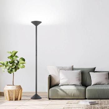 LED álló világítás Tratto, antracit, fém, CCT, dimmelhető kép
