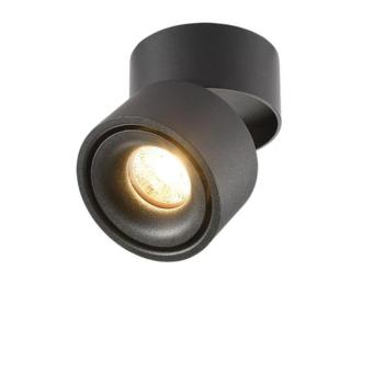 LED beépíthető lámpatest felületre szerelhető 12w fekete 4000k bridgelux-chip állítható, természetes fehér, 960 lm, Optonica, 12005 kép