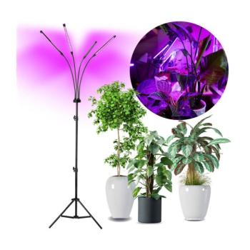 LED Dimmelhető állólámpa növények termesztésére VITARO 4xLED/7,5W/230V fekete KDSN00000086 kép