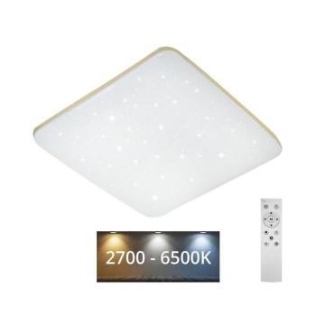 LED Dimmelhető mennyezeti lámpa MANA LED/36W/230V 2700-6500K + távirányító 008 0001110 kép
