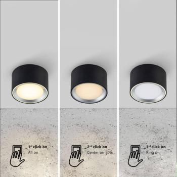LED downlight Fallon 3-step-dim, fehér/acél kép