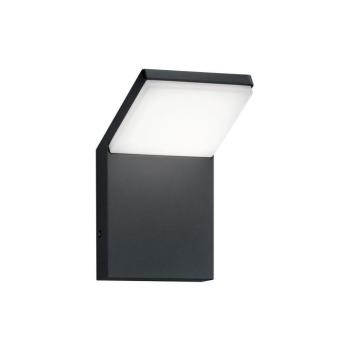 LED fali kültéri lámpa (magasság 16 cm) Pearl – Trio kép