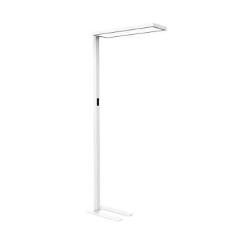 LED irodai állólámpa MAULsenja, fehér, érzékelő, magasság 196 cm kép
