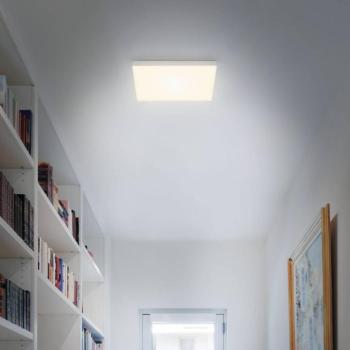 LED lámpa Flame, 3000K, 28,7x28,7cm, ezüst kép