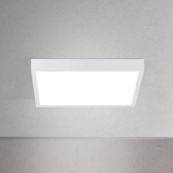 LED mennyezeti lámpa Disc, fehér, hossza 24 cm, CCT, fém kép