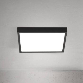 LED mennyezeti lámpa Disc, fekete Hosszúság 24 cm, CCT fém kép