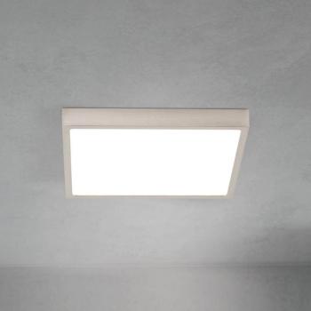 LED mennyezeti lámpa Disc, nikkel színű, szatén felület, hossza 24 cm, CCT kép