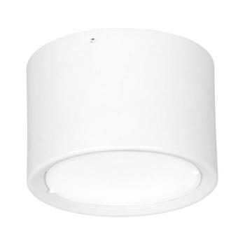 LED Mennyezeti lámpa LED/16W/230V fehér á. 12 cm 892 kép