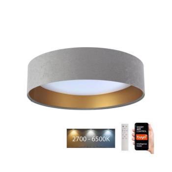 LED Mennyezeti lámpa SMART GALAXY LED/24W/230V Wi-Fi Tuya szürke/arany + távirányító kép