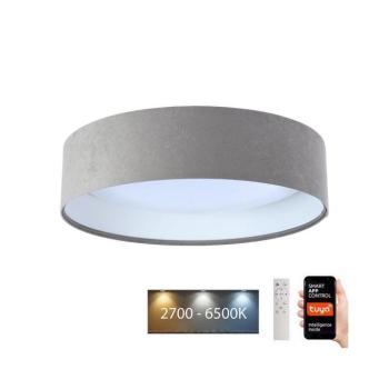 LED Mennyezeti lámpa SMART GALAXY LED/24W/230V Wi-Fi Tuya szürke/fehér + távirányító kép