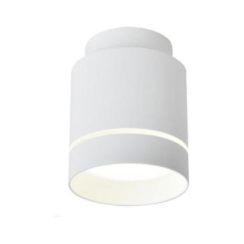 LED Mennyezeti lámpa TUBA LED/12W/230V 2275918 kép