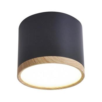 LED Mennyezeti lámpa TUBA LED/9W/230V 2275949 kép