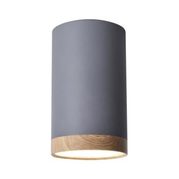 LED Mennyezeti lámpa TUBA LED/9W/230V 2282879 kép