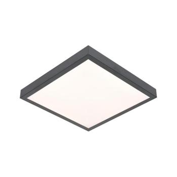 LED Mennyezeti lámpa VITALI LED/24W/230V SKU011656 kép
