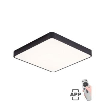 LED mennyezeti négyzet alakú lámpatest FINESSE S1-60 600*600*H50 60W szabályozható+mobil fekete 2026210 VITO, opció függesztő szett 2026410 kép