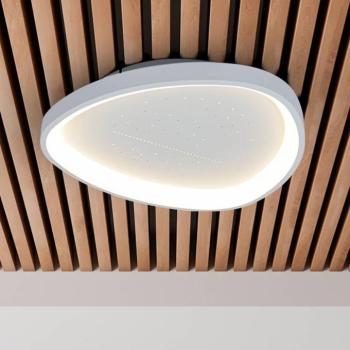 LED mennyezeti világítás Argesa Ø 60,5 cm, fehér, CCT, távirányító kép