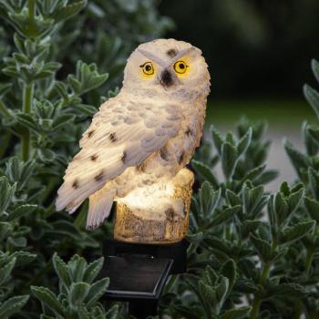 LED napelemes bagoly földi tüskével kép