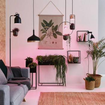 LED növény lámpa E27 R80 6.5W kép
