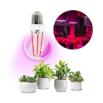 Növénytermesztő LED izzó LED PLANTY FGS 8W E27 1200K – Kobi Design, lila fényű, 250lm, KOBI-001512 kép