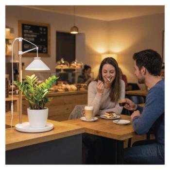 LED növénynevelő lámpa, teljes spektrum, 21 LED, beltéri, időzítővel, 3800K, 450, 220–240V, CRI>95, fehér, Nappali fehér, IP20, EMOS, Z7905 kép