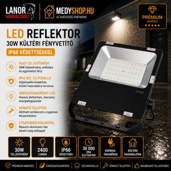 LED reflektor 30W kültéri fényvetítő IP66 védettséggel