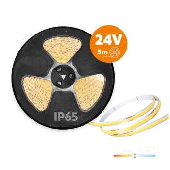 LED szalag TRAMO 320 COB 5m 4000K 24V IP65 Kobi Prémium, 10W, természetes fehér, 460lm, CRI≥90, szabályozható, KOBI-004619 kép