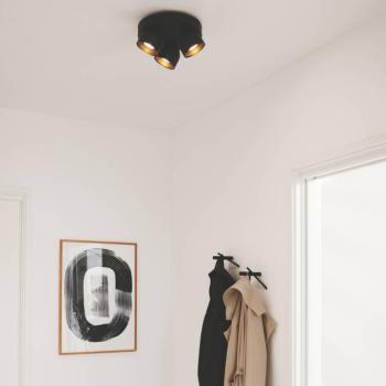 Downlight Pitcher, fekete/sárgaréz, 3 izzós, kerek, fém kép