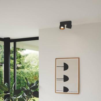 Downlight Pitcher, fekete/sárgaréz, 2 izzós, fém, GU10 kép