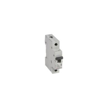 Legrand - RX3 egypólusú kismegszakító 1P C 25A 6000A 419204 kép