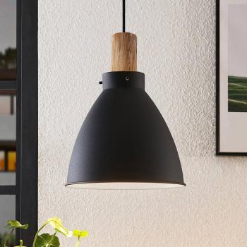 Lindby lógó világítás Trebale, E27, Ø 28 cm, fekete, fém kép