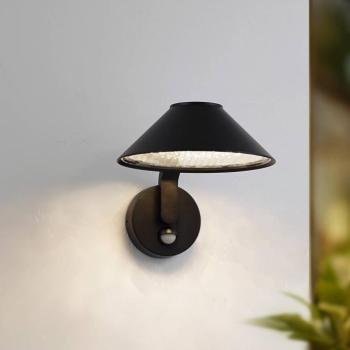 Lindby Capelo LED fali lámpa, fekete, fém, érzékelővel, Ø20 cm kép