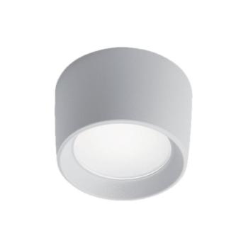 LIVIA 160 LED MENNYEZETI LÁMPA 10W CCT 4000K IP55 FEHÉR kép