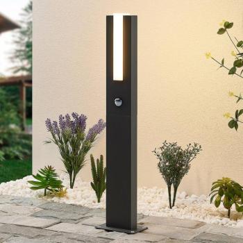 Lucande Virgalia LED-es kivetítő lámpa, mozgásérzékelő, 65 cm, IP54 kép