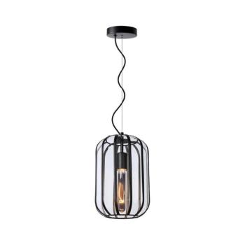 Lucide 25409/01/30 - Csillár zsinóron FERN 1xE27/60W/230V 25409/01/30 kép