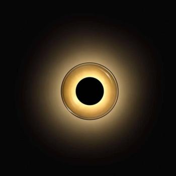 MARSET LED fali világítás Aura, Ø 18 cm, füstszürke/átlátszó kép