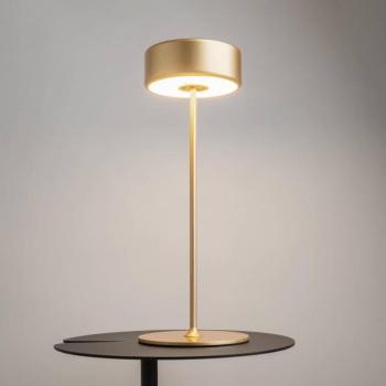 Maytoni LED-es újratölthető asztali lámpa AI Collaboration, alumínium, kép