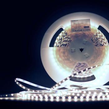 Modee LED Szalag Szilikon DC12V 4,8W/m 60LED/m 8mm IP65 6000K (540 lumen/m) B20 kép