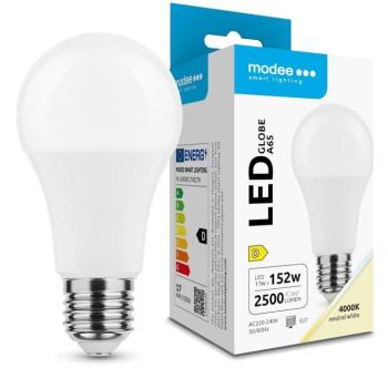 Modee Lighting LED Izzó Globe A65 17W E27 200° 4000K (2500 lumen) ERP kép
