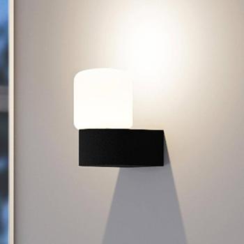 Molto Luce Lanu Flat kültéri fali lámpa, fekete, alumínium/üveg