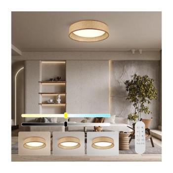 NEO 07288L - LED+CCT dimmelhető mennyezeti lámpa LONA 36W/230V átm. 45,5 cm+ távirányító 07288L kép