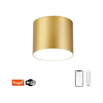 NEO 07317L - dimmelhető LED mennyezeti lámpa RONDATE 18W/230V 11,5cm Wi-Fi Tuya aranyszínű 07317L kép