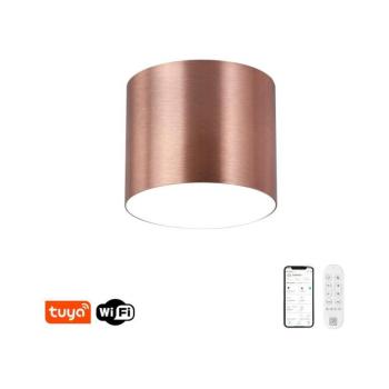 NEO 07319L - RONDATE LED mennyezeti lámpa, dimmelhető, 18W/230V, 11,5 cm, Wi-Fi Tuya rózsaszín 07319L